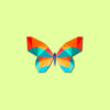 butterfly-4420851_1920-edit
